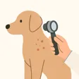 Dermatology diagnostics icon