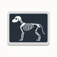 X-Ray icon